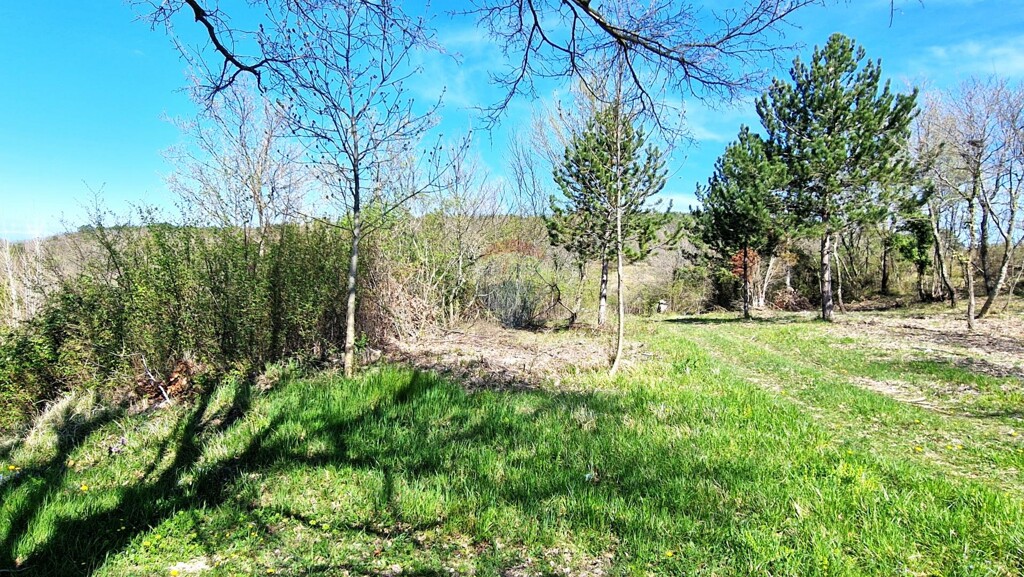 Image 6332054 - 16