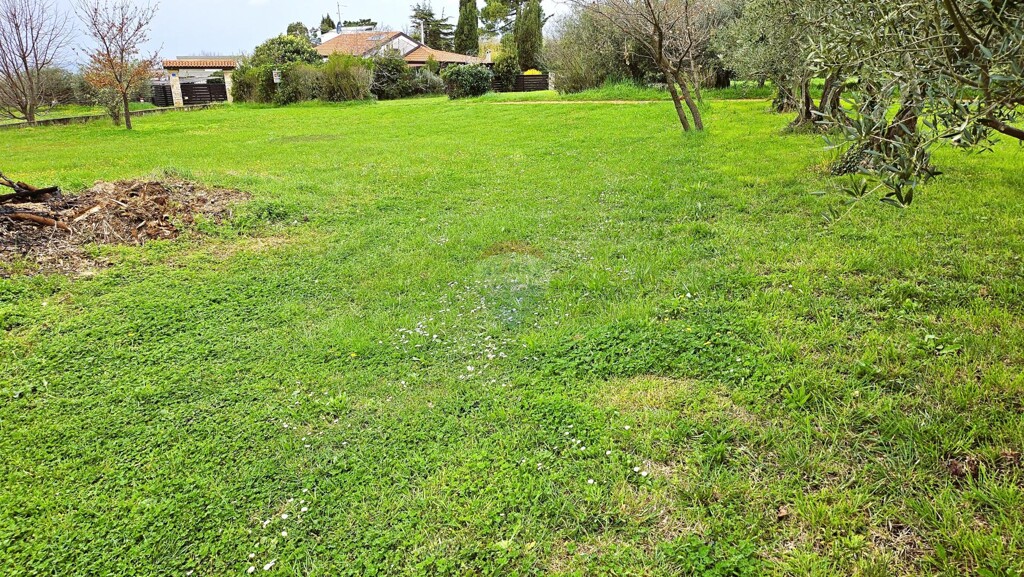Image 6332058 - 7