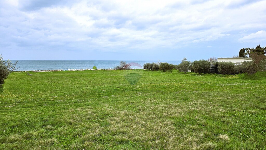 Image 6332058 - 1
