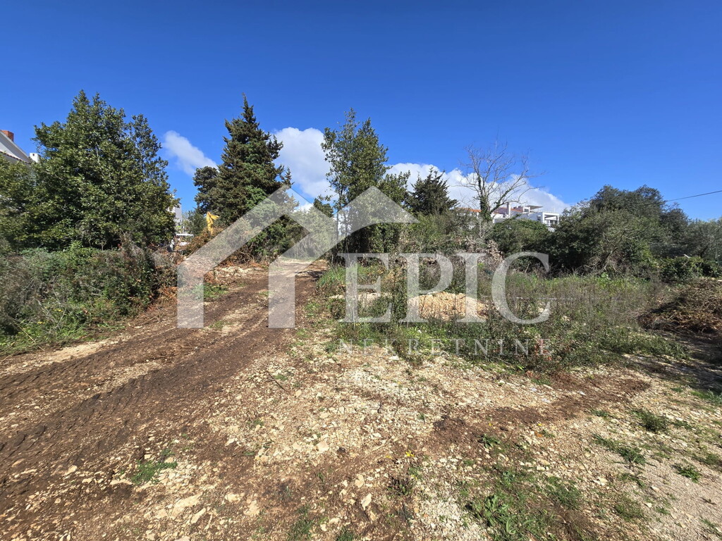 Image 6332165 - 17