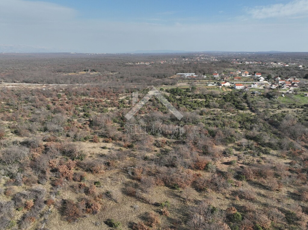 Image 6332638 - 4