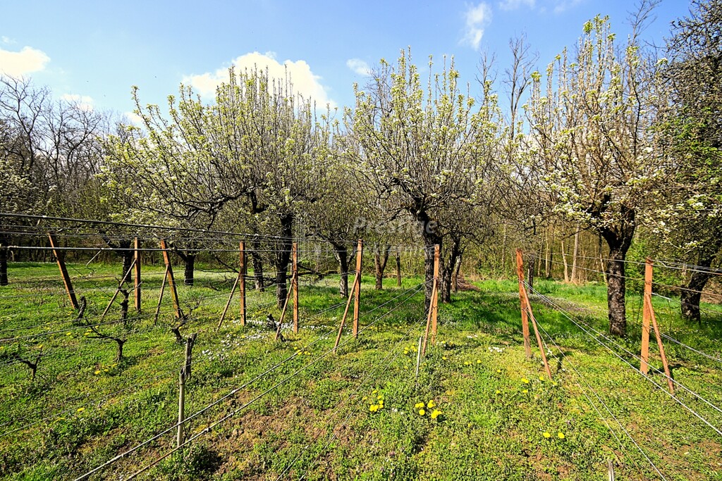 Image 6332639 - 16