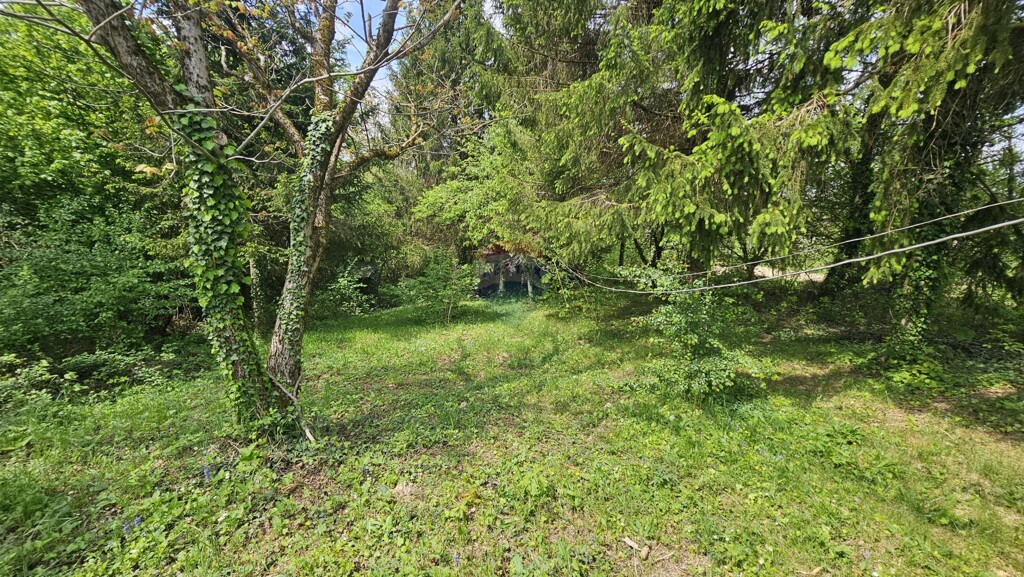 Image 6332882 - 5