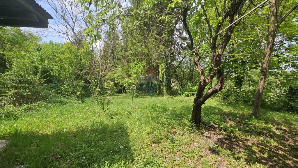 Image 6332882 - 4