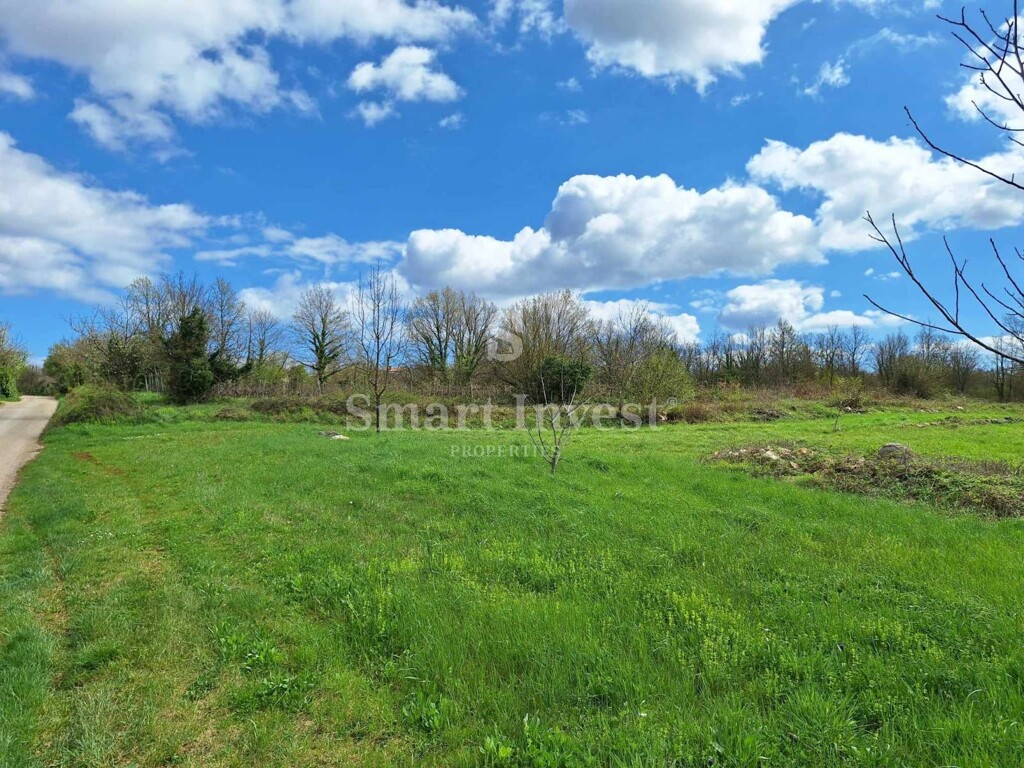 Image 6333025 - 1
