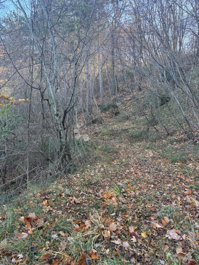 Image 6333084 - 3