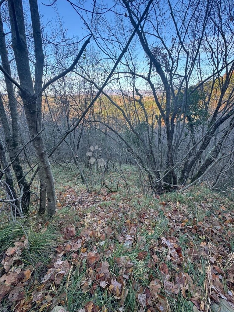 Image 6333084 - 1