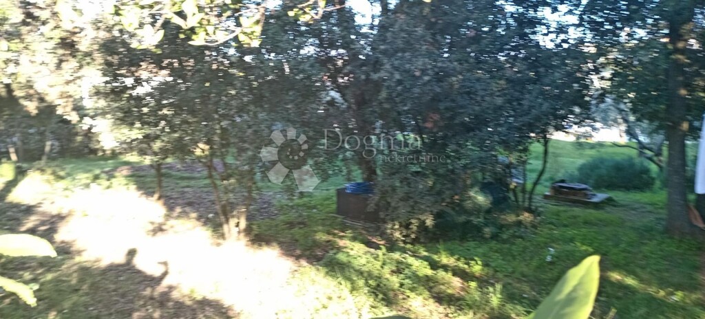 Image 6333085 - 5