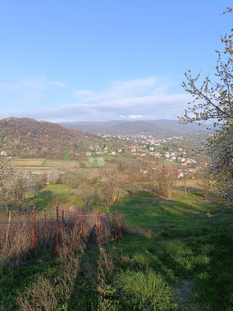 Image 6333114 - 1