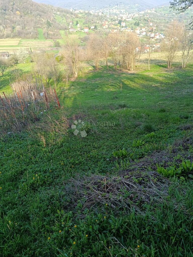Image 6333114 - 5