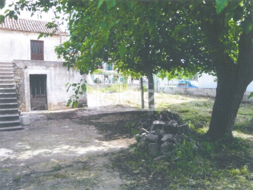 Thumbnail 6333123 - 4