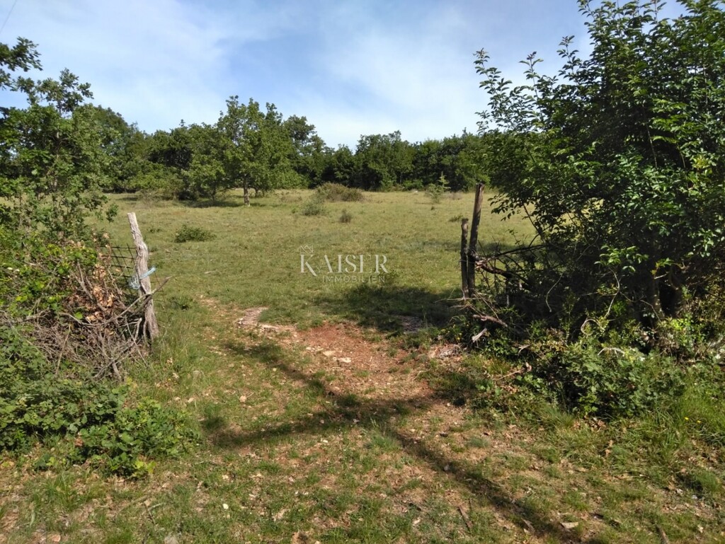 Image 6333157 - 3