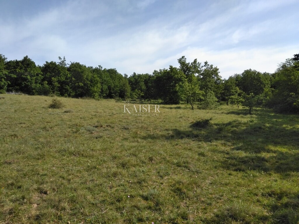 Image 6333157 - 1