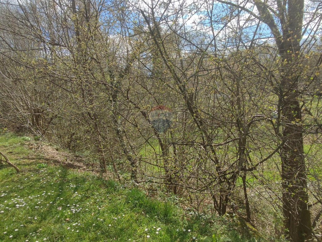 Image 6333174 - 3