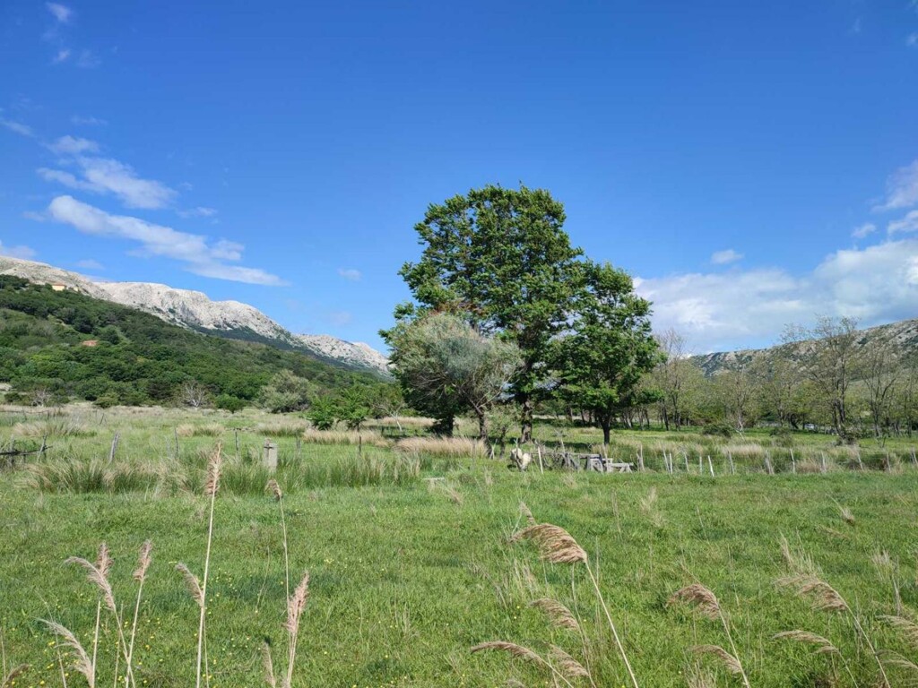 Image 6333397 - 2