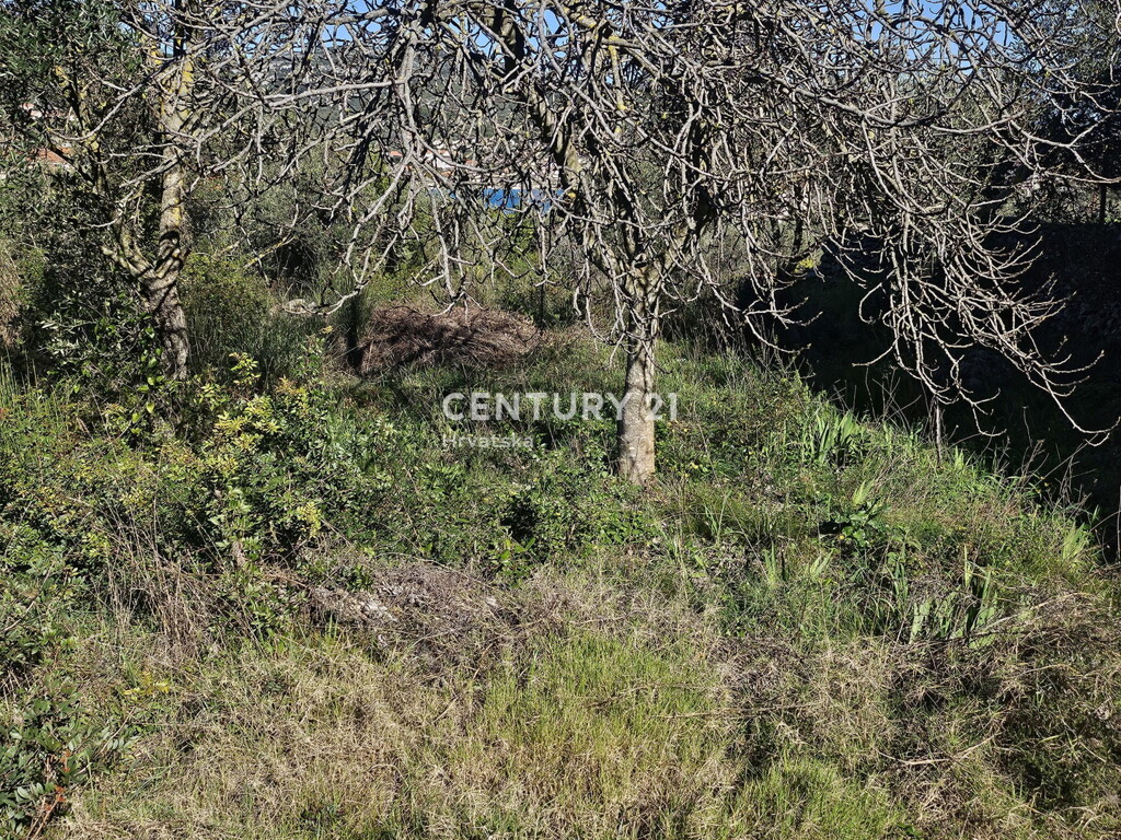 Image 6333415 - 6