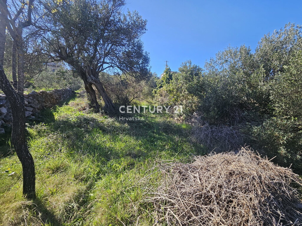 Image 6333415 - 3