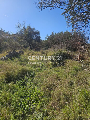 Thumbnail 6333415 - 4