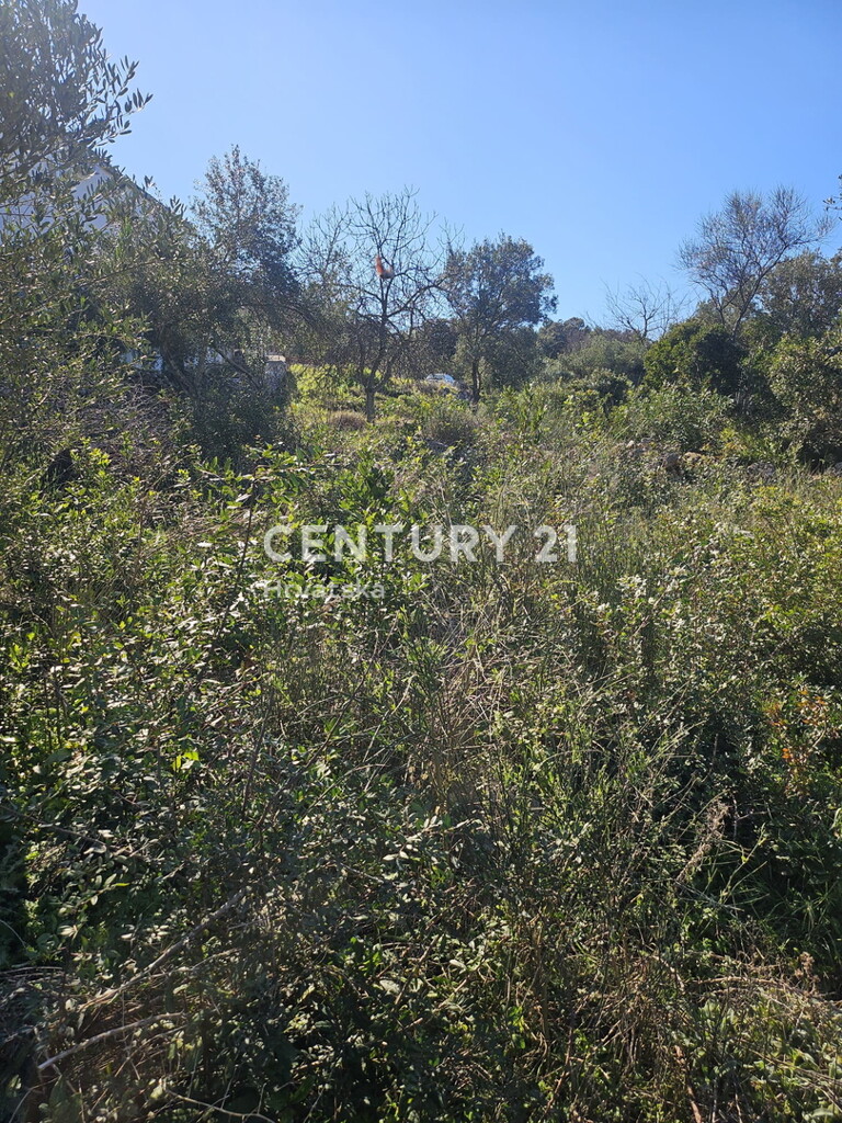 Image 6333415 - 5