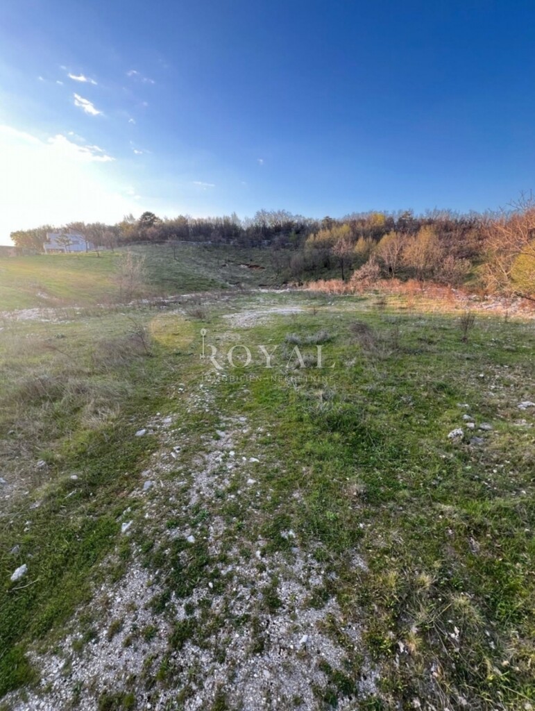 Image 6333655 - 1