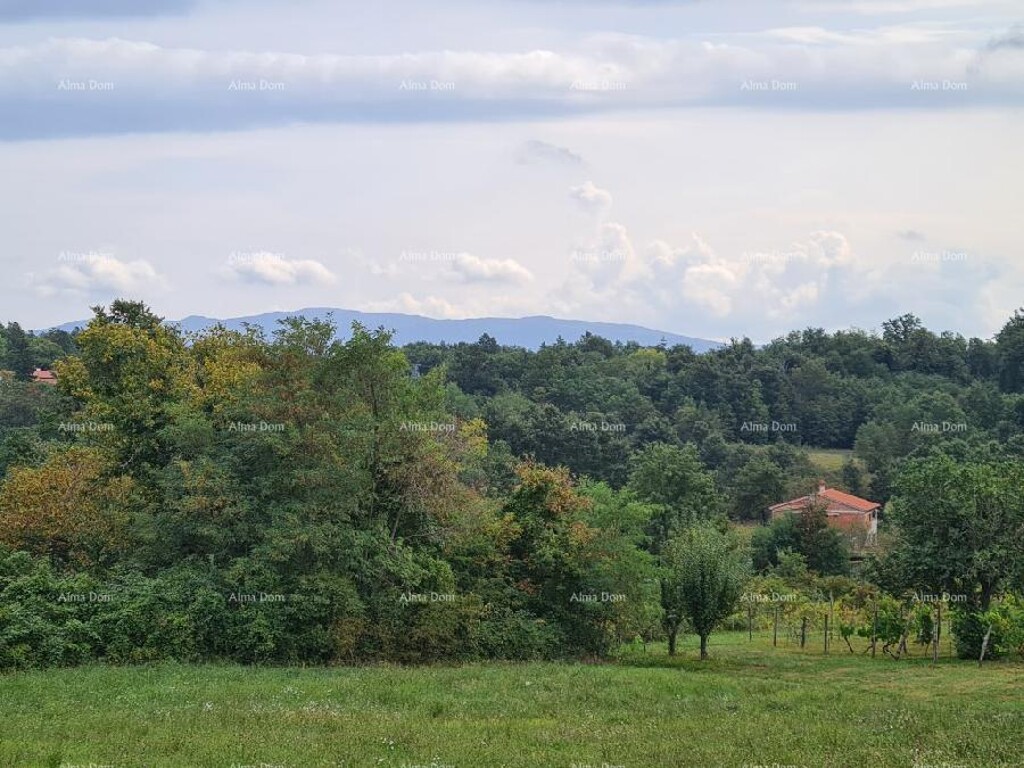 Image 6333698 - 3