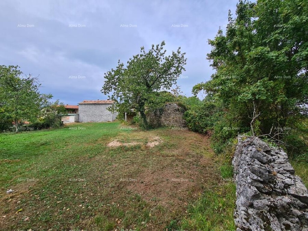 Image 6333698 - 5