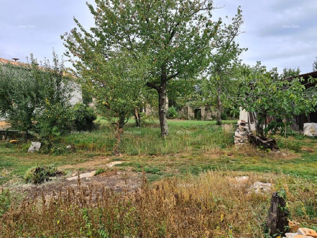 Image 6333698 - 16