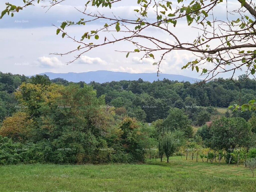 Image 6333698 - 4