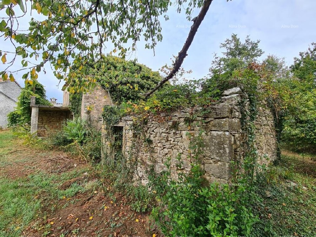 Image 6333698 - 15