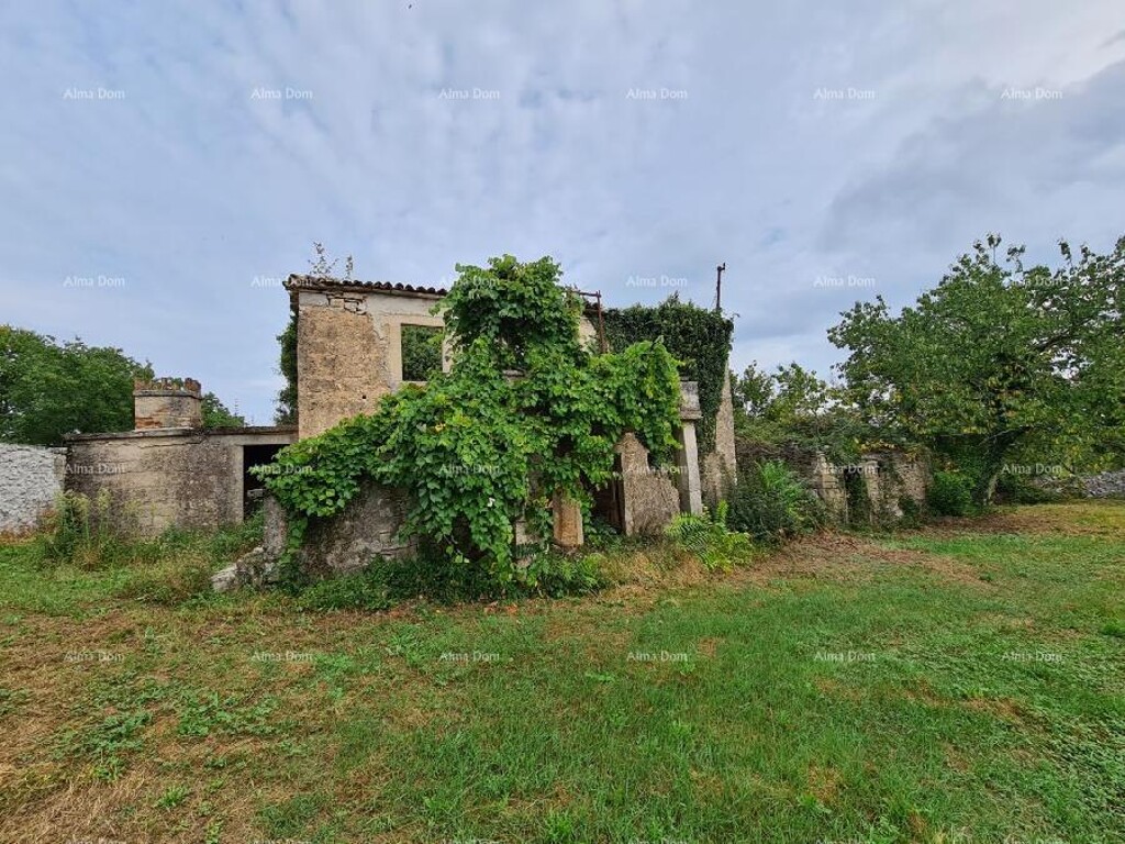 Image 6333698 - 8