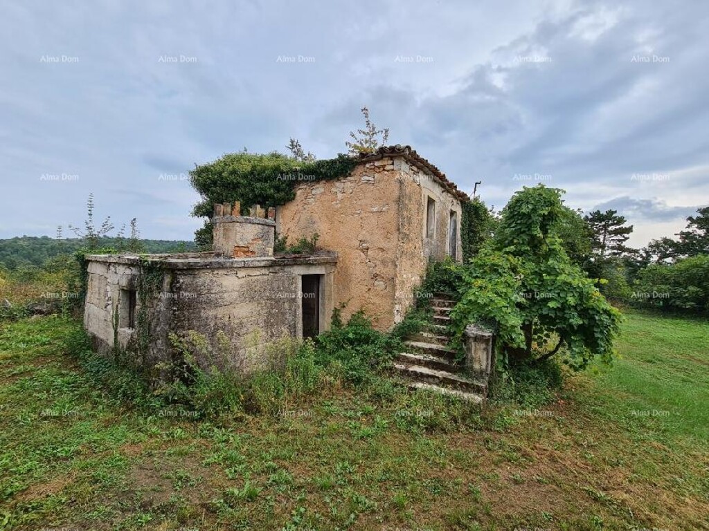 Image 6333698 - 11