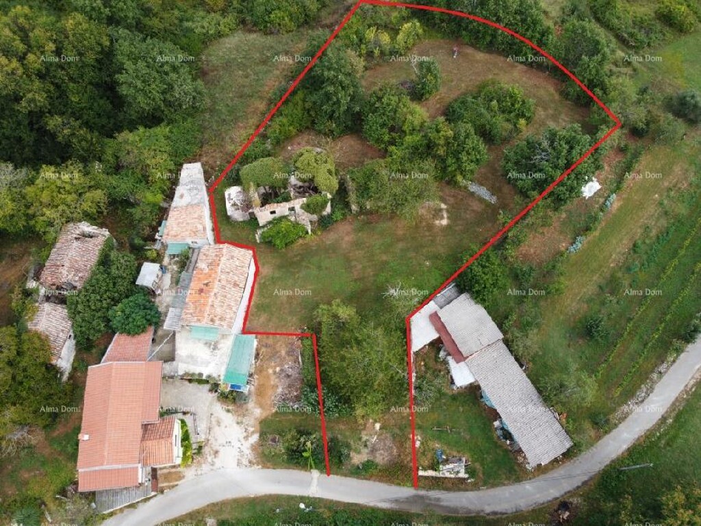 Image 6333698 - 1