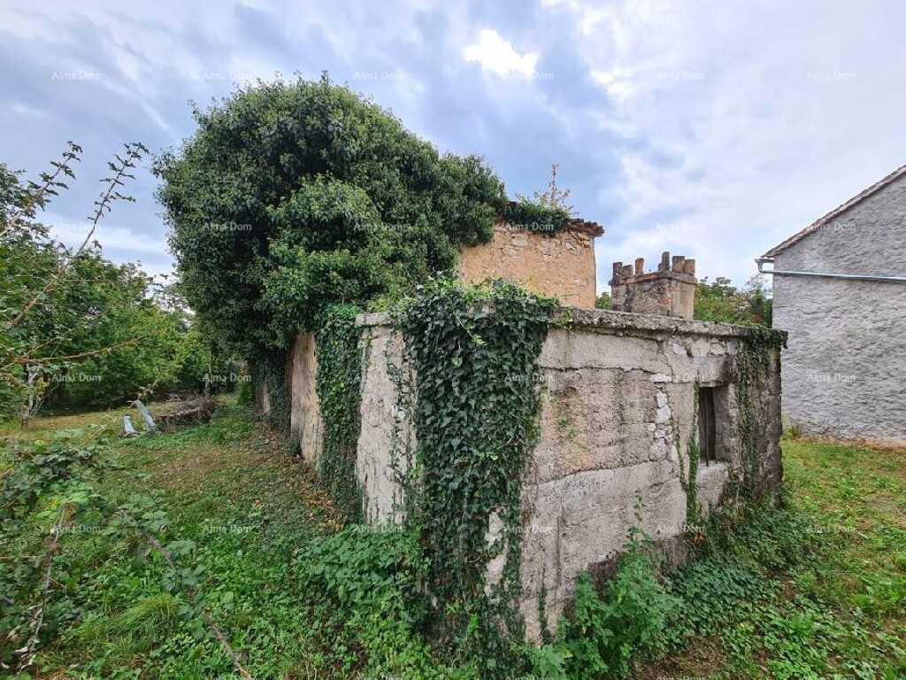 Image 6333698 - 13