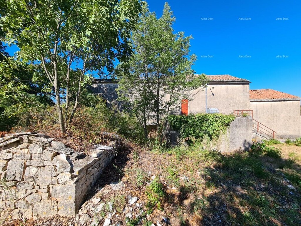Image 6333700 - 2