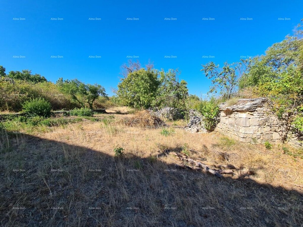 Image 6333700 - 7