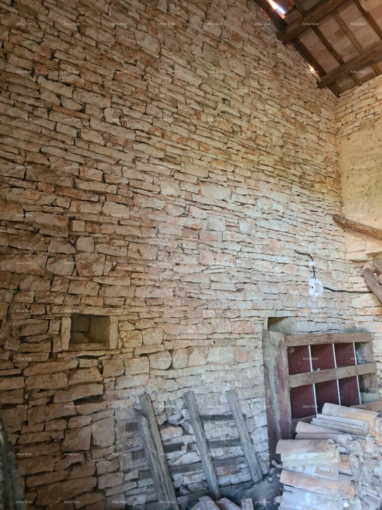 Image 6333700 - 10