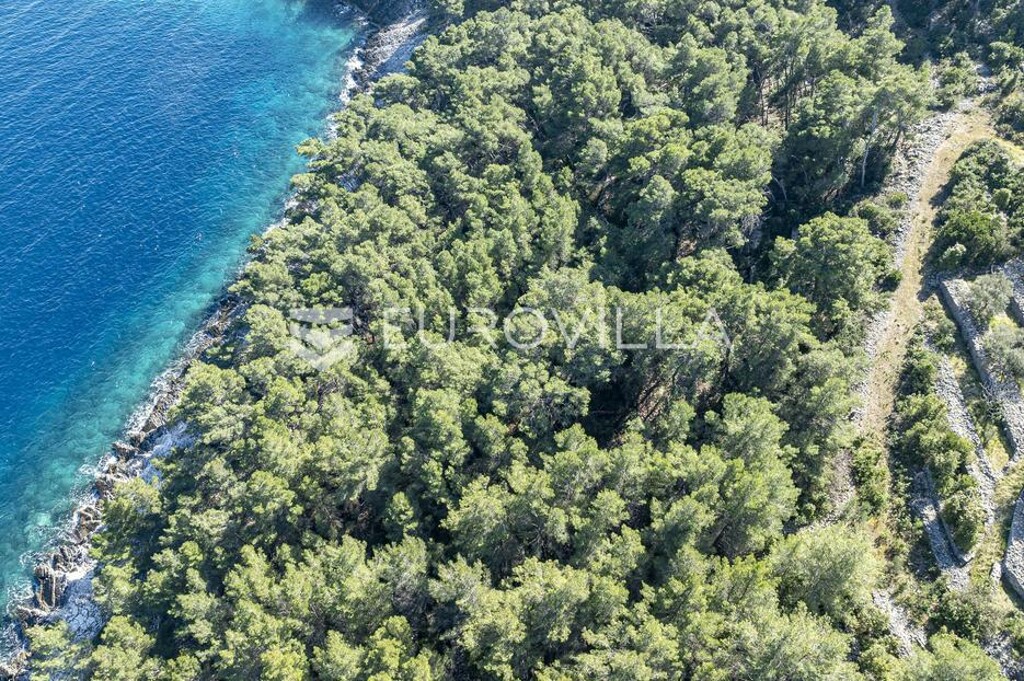 Image 6333925 - 6