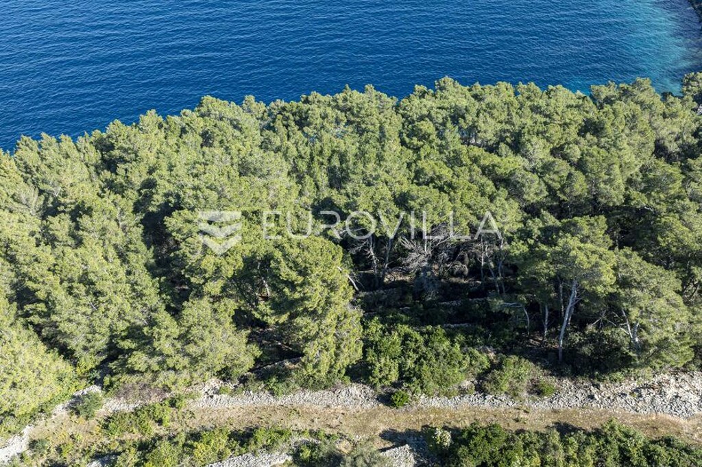 Image 6333925 - 3