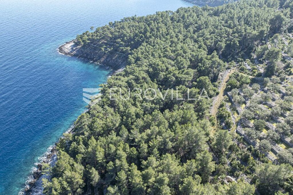 Image 6333925 - 5
