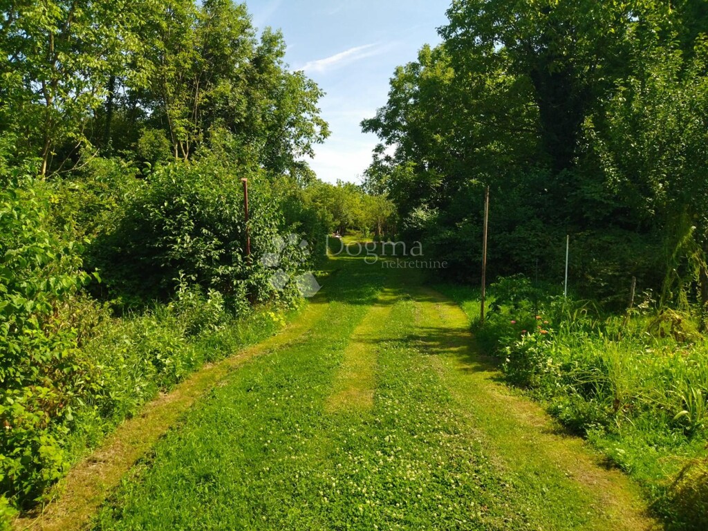 Image 6333975 - 1