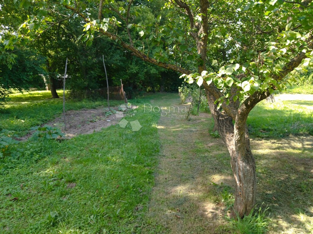 Image 6333975 - 2