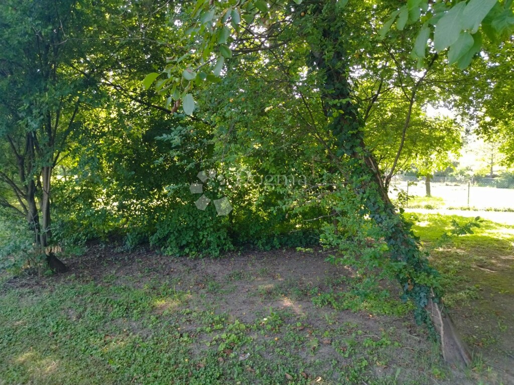 Image 6333975 - 3