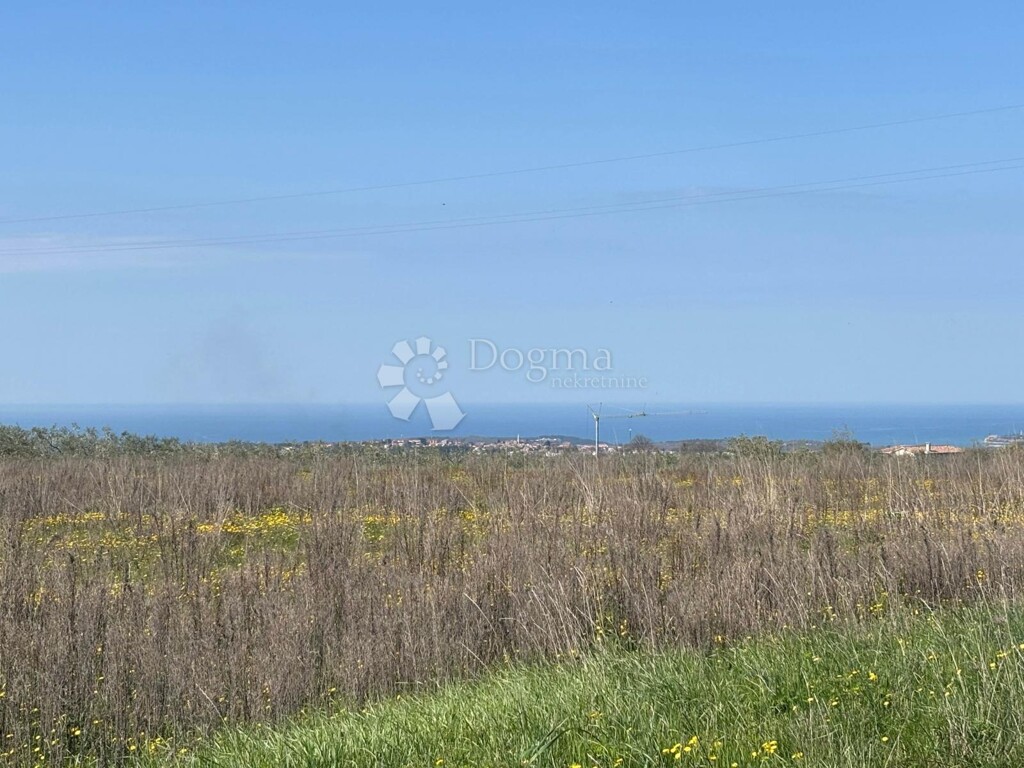 Image 6333994 - 4
