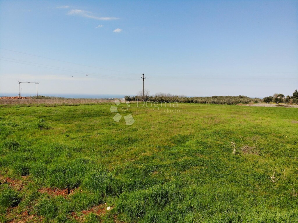 Image 6333995 - 5