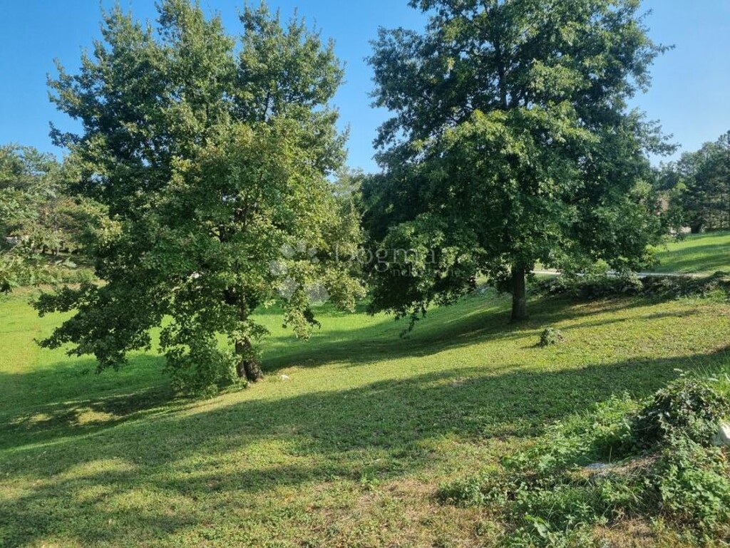 Image 6333999 - 6