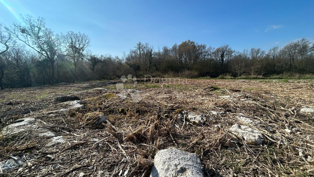 Image 6334003 - 3