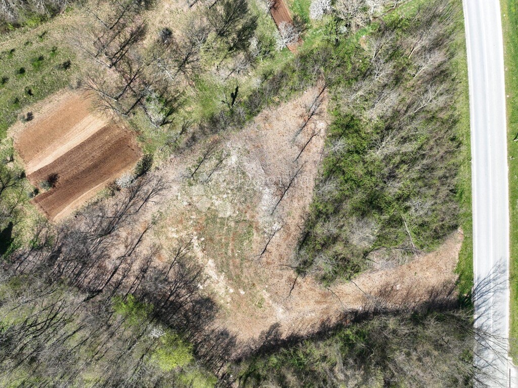 Image 6334004 - 5