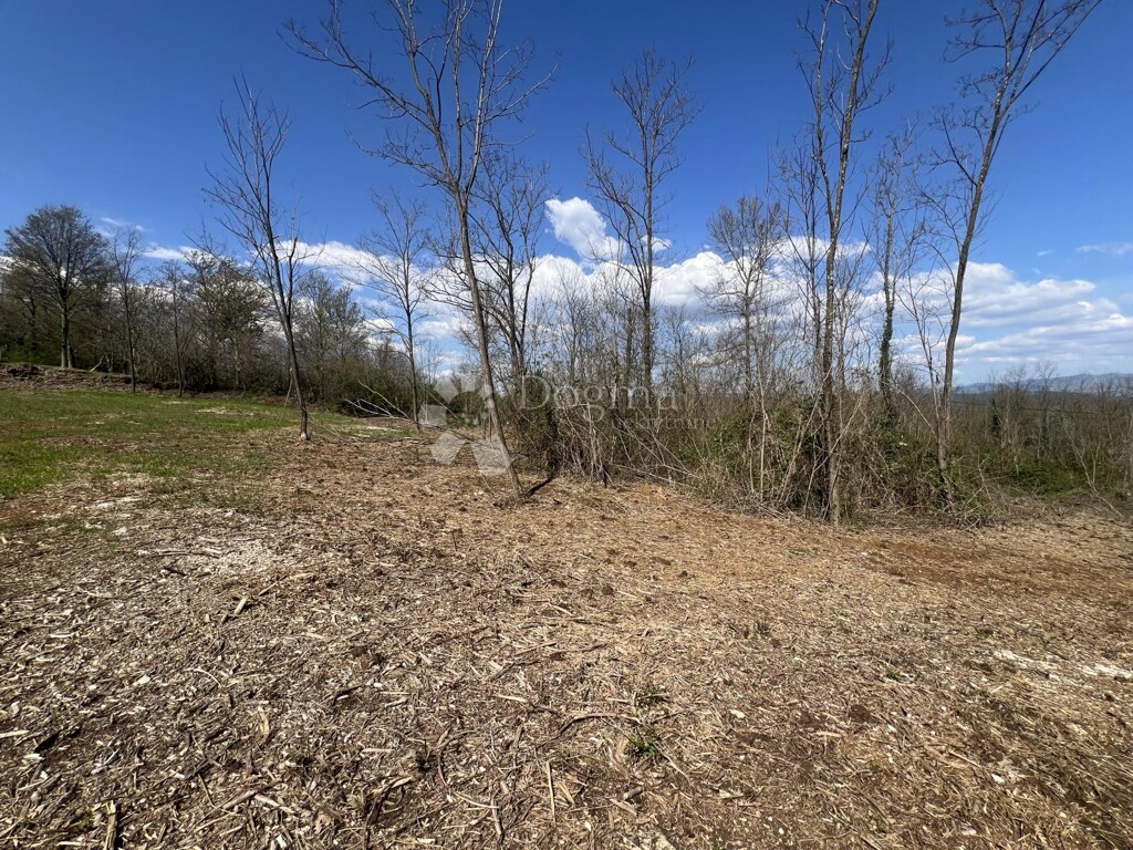 Image 6334006 - 2