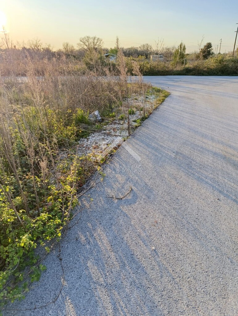 Image 6334016 - 5