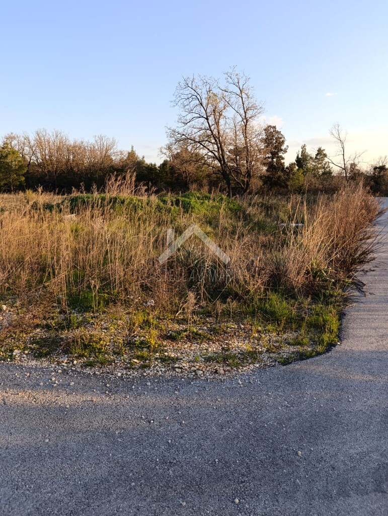 Image 6334016 - 1